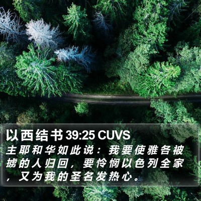 以 西 结 书 39:25 CUVS Bible Verse Image