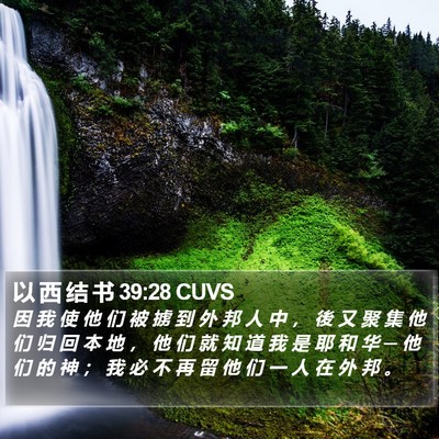 以 西 结 书 39:28 CUVS Bible Verse Image