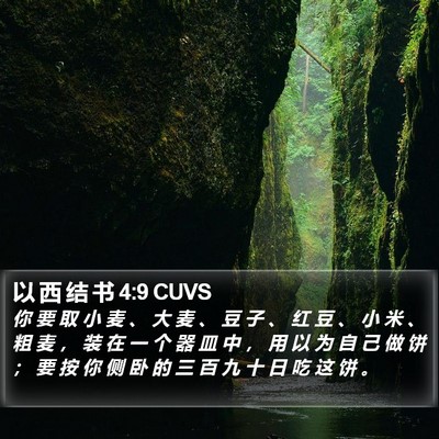 以 西 结 书 4:9 CUVS Bible Verse Image