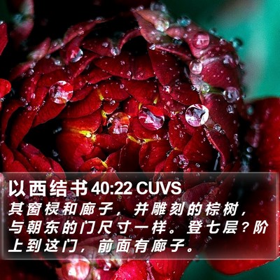 以 西 结 书 40:22 CUVS Bible Verse Image