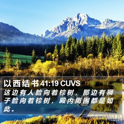以 西 结 书 41:19 CUVS Bible Verse Image