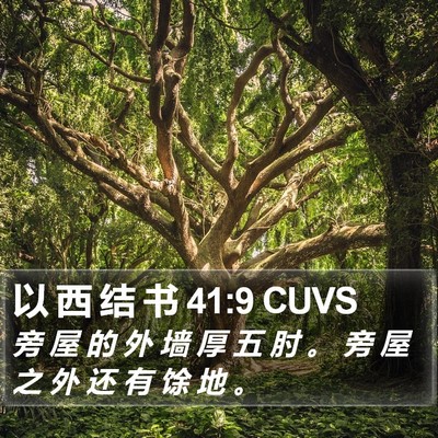 以 西 结 书 41:9 CUVS Bible Verse Image