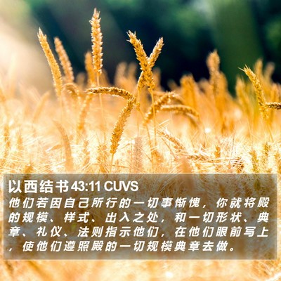 以 西 结 书 43:11 CUVS Bible Verse Image