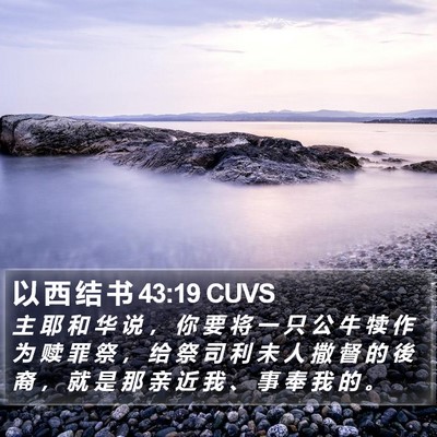 以 西 结 书 43:19 CUVS Bible Verse Image