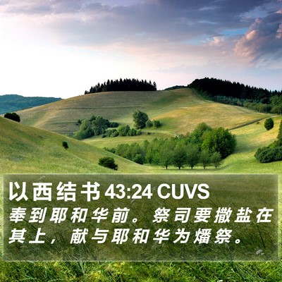 以 西 结 书 43:24 CUVS Bible Verse Image