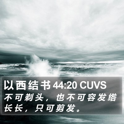 以 西 结 书 44:20 CUVS Bible Verse Image