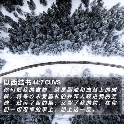 以 西 结 书 44:7 CUVS Bible Verse Image