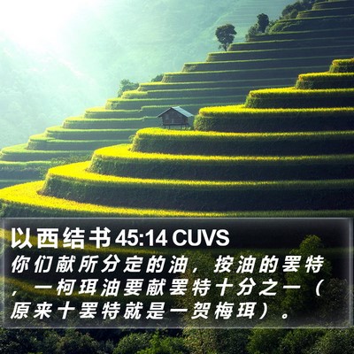 以 西 结 书 45:14 CUVS Bible Verse Image