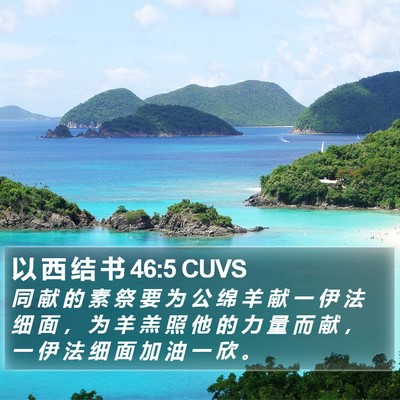 以 西 结 书 46:5 CUVS Bible Verse Image