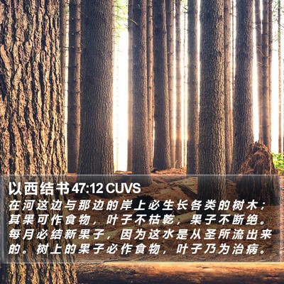 以 西 结 书 47:12 CUVS Bible Verse Image