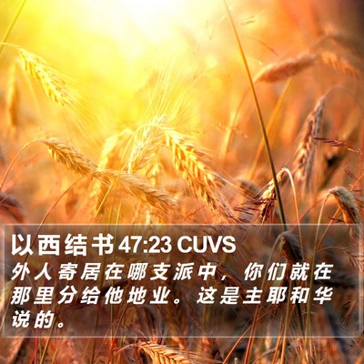 以 西 结 书 47:23 CUVS Bible Verse Image