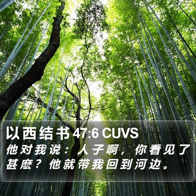 以 西 结 书 47:6 CUVS Bible Verse Image