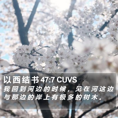 以 西 结 书 47:7 CUVS Bible Verse Image