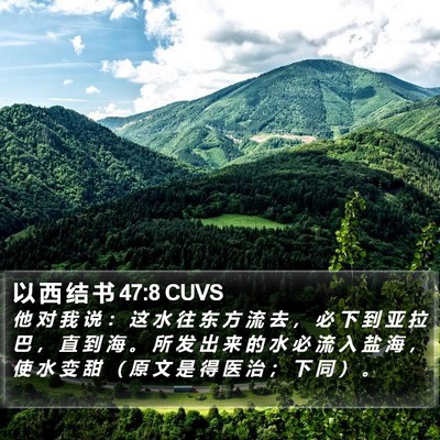 以 西 结 书 47:8 CUVS Bible Verse Image