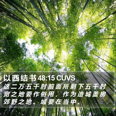 以 西 结 书 48:15 CUVS Bible Verse Image