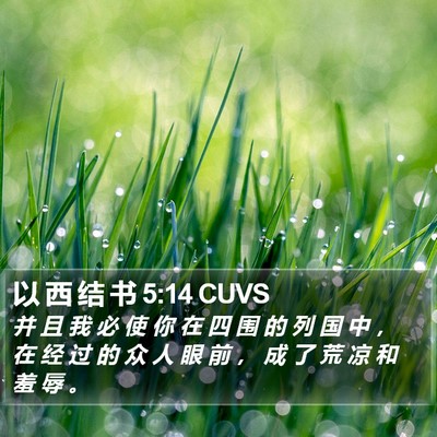 以 西 结 书 5:14 CUVS Bible Verse Image