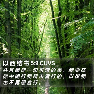 以 西 结 书 5:9 CUVS Bible Verse Image