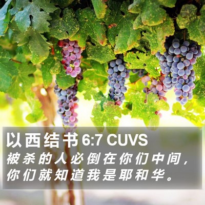 以 西 结 书 6:7 CUVS Bible Verse Image