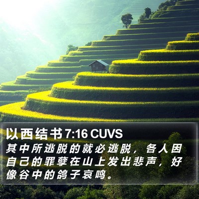 以 西 结 书 7:16 CUVS Bible Verse Image