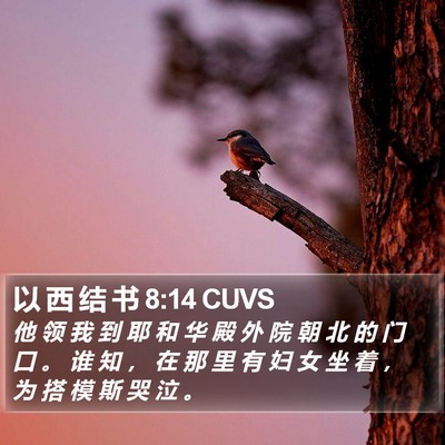 以 西 结 书 8:14 CUVS Bible Verse Image
