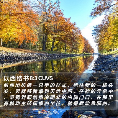 以 西 结 书 8:3 CUVS Bible Verse Image