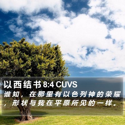 以 西 结 书 8:4 CUVS Bible Verse Image