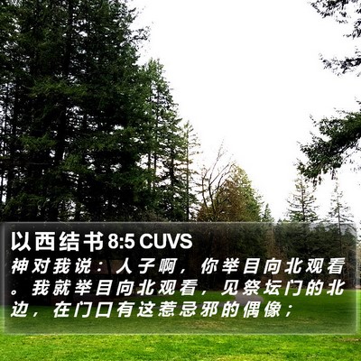 以 西 结 书 8:5 CUVS Bible Verse Image