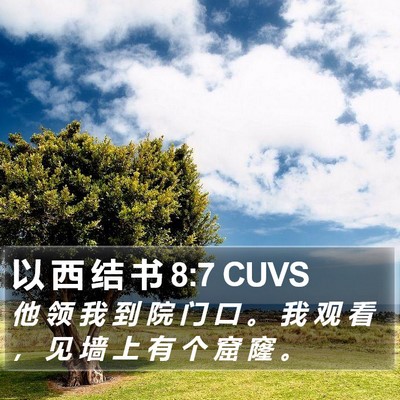 以 西 结 书 8:7 CUVS Bible Verse Image