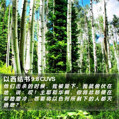 以 西 结 书 9:8 CUVS Bible Verse Image