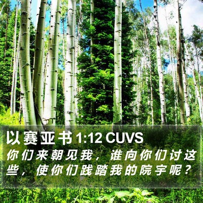 以 赛 亚 书 1:12 CUVS Bible Verse Image