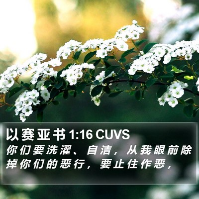 以 赛 亚 书 1:16 CUVS Bible Verse Image