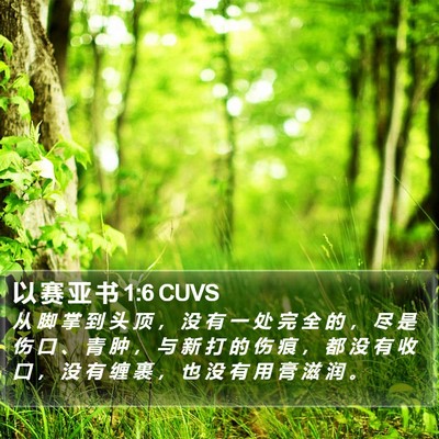以 赛 亚 书 1:6 CUVS Bible Verse Image