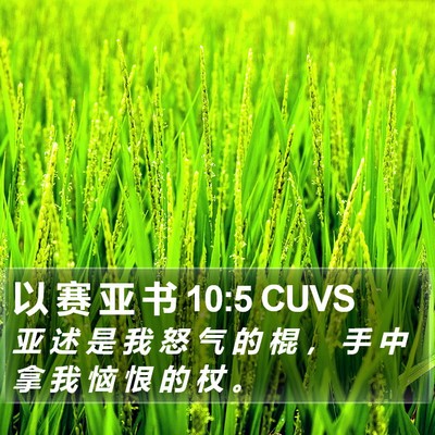 以 赛 亚 书 10:5 CUVS Bible Verse Image