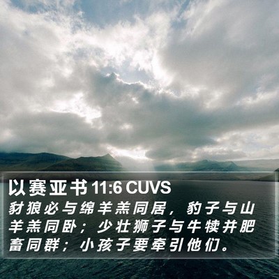 以 赛 亚 书 11:6 CUVS Bible Verse Image