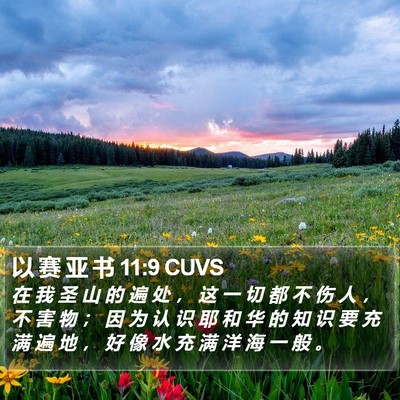 以 赛 亚 书 11:9 CUVS Bible Verse Image