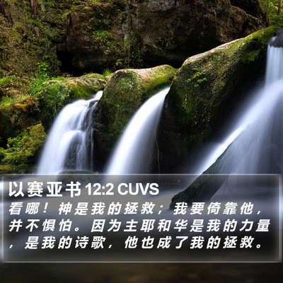 以 赛 亚 书 12:2 CUVS Bible Verse Image