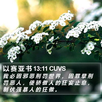 以 赛 亚 书 13:11 CUVS Bible Verse Image