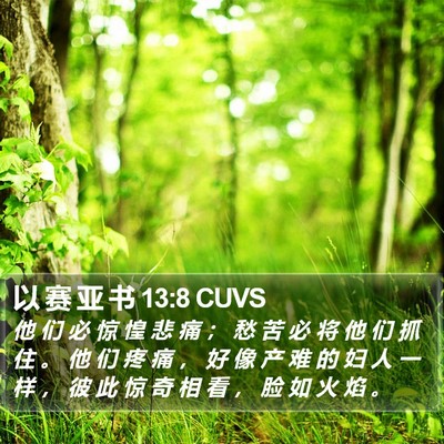以 赛 亚 书 13:8 CUVS Bible Verse Image