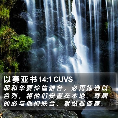 以 赛 亚 书 14:1 CUVS Bible Verse Image