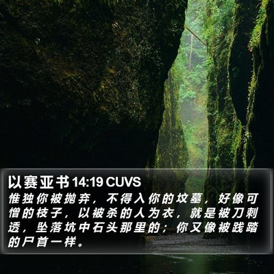 以 赛 亚 书 14:19 CUVS Bible Verse Image