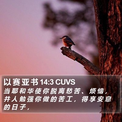 以 赛 亚 书 14:3 CUVS Bible Verse Image