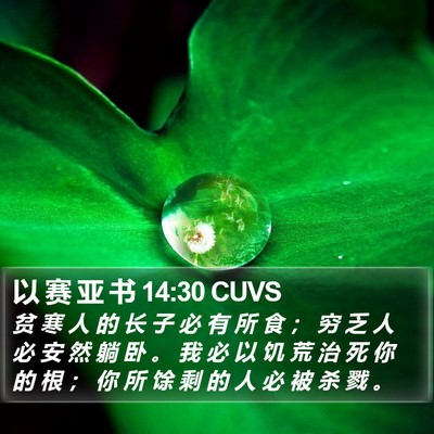 以 赛 亚 书 14:30 CUVS Bible Verse Image