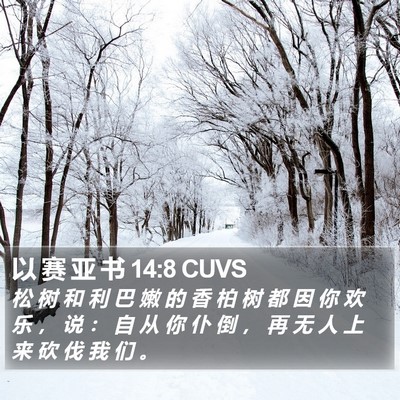 以 赛 亚 书 14:8 CUVS Bible Verse Image