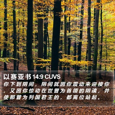以 赛 亚 书 14:9 CUVS Bible Verse Image
