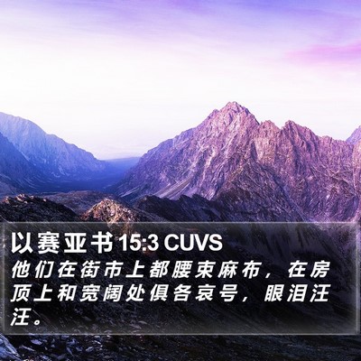 以 赛 亚 书 15:3 CUVS Bible Verse Image