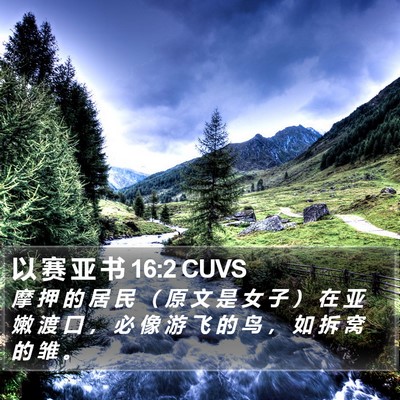 以 赛 亚 书 16:2 CUVS Bible Verse Image