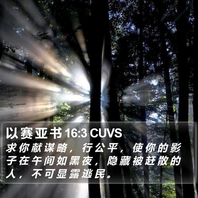 以 赛 亚 书 16:3 CUVS Bible Verse Image