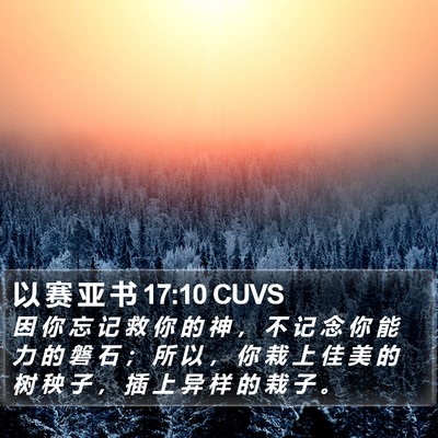 以 赛 亚 书 17:10 CUVS Bible Verse Image