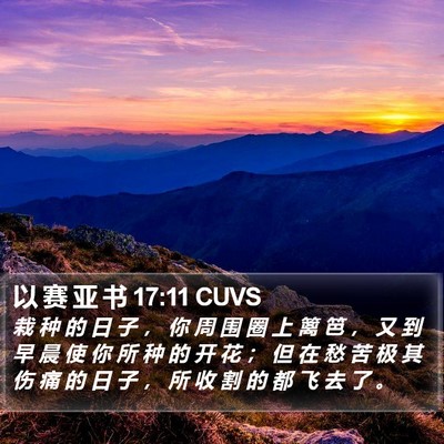 以 赛 亚 书 17:11 CUVS Bible Verse Image