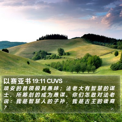 以 赛 亚 书 19:11 CUVS Bible Verse Image